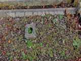 image of grave number 784633